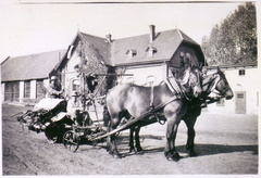 Pawelwitz Hof v. Schweinichen 1